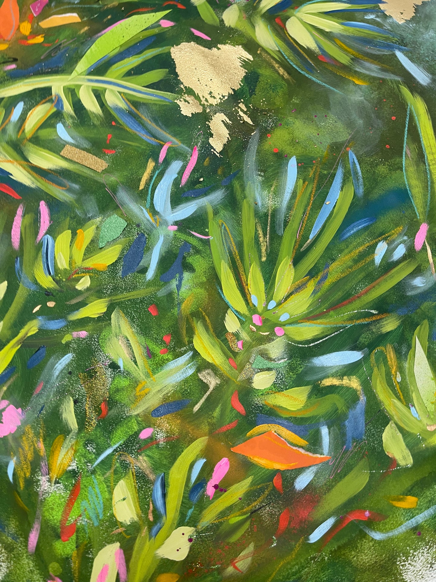 Cloud Forest