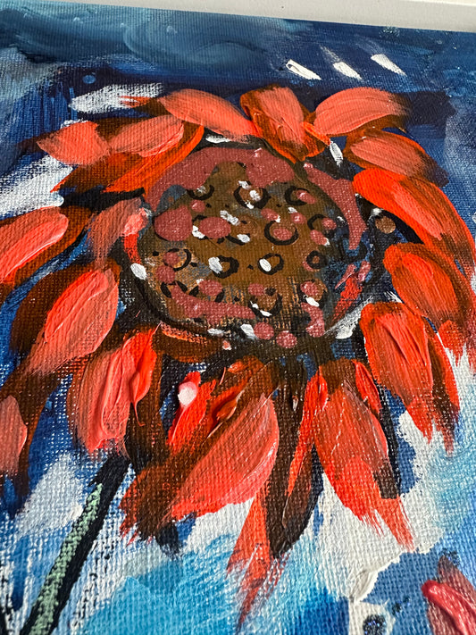 Blue Sunflower